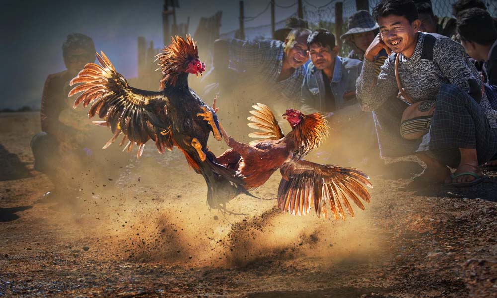 Cách Chơi Trên 78win